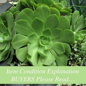 Condition of Items Listed Explanation